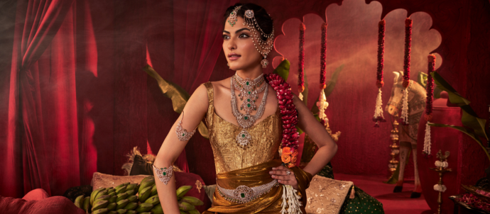 Exclusive Collections